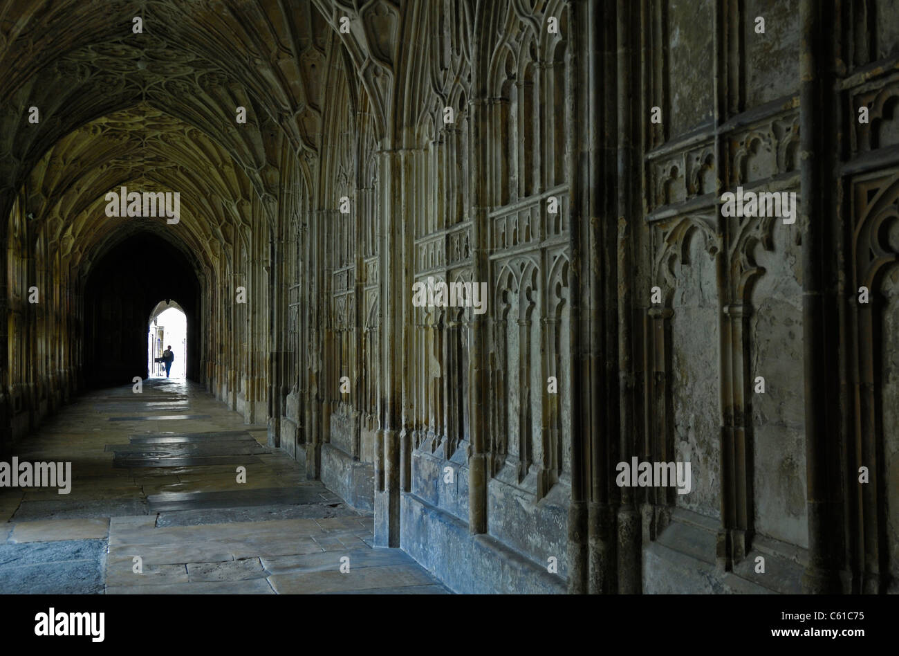Le célèbre cloître de la cathédrale de Gloucester avec ventilateur voûtes et sculptures de pierre fine. Banque D'Images