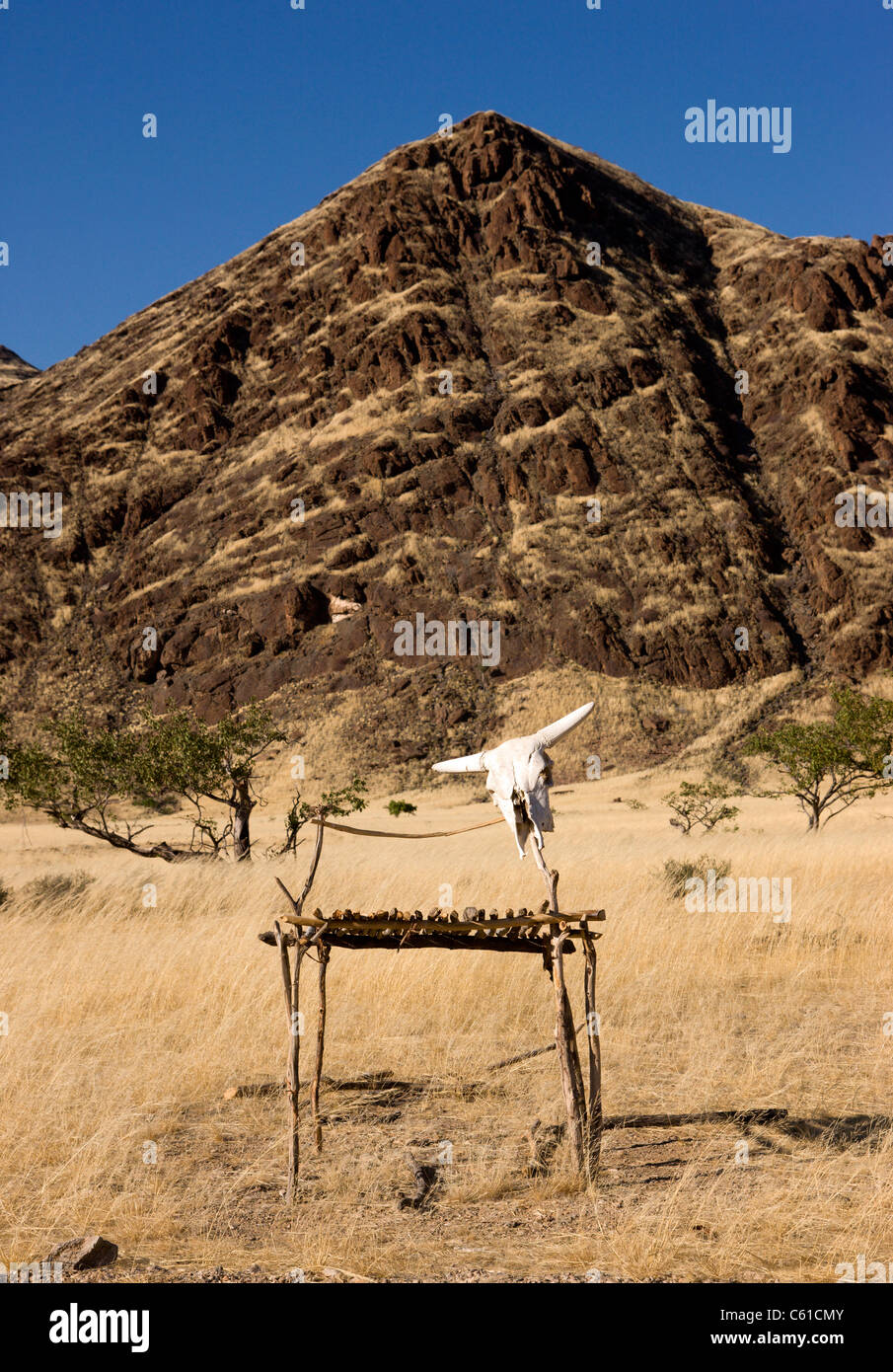 Un crâne animal marquant la table de fortune pour un commerçant. Purros, Nord de Kaokoland, Namibie, Kaokoveld. Banque D'Images