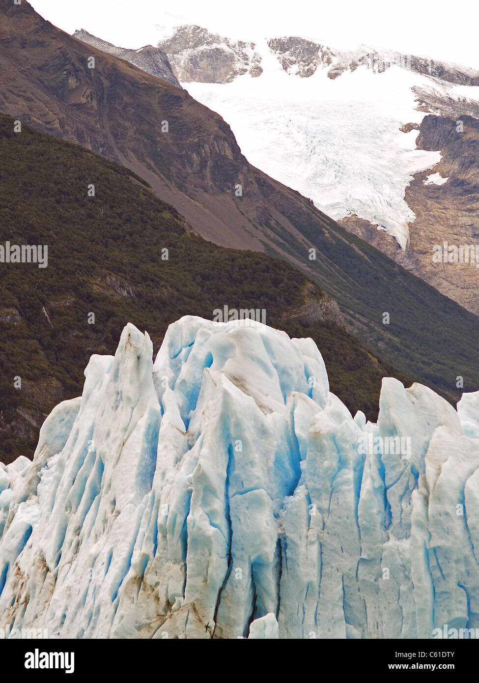 Glaciar Perito Moreno, Argentine Banque D'Images