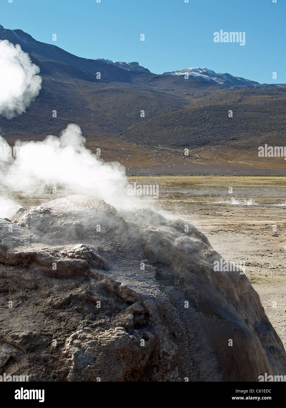 Geyser en éruption à El Tatio Geysers, Chili Banque D'Images