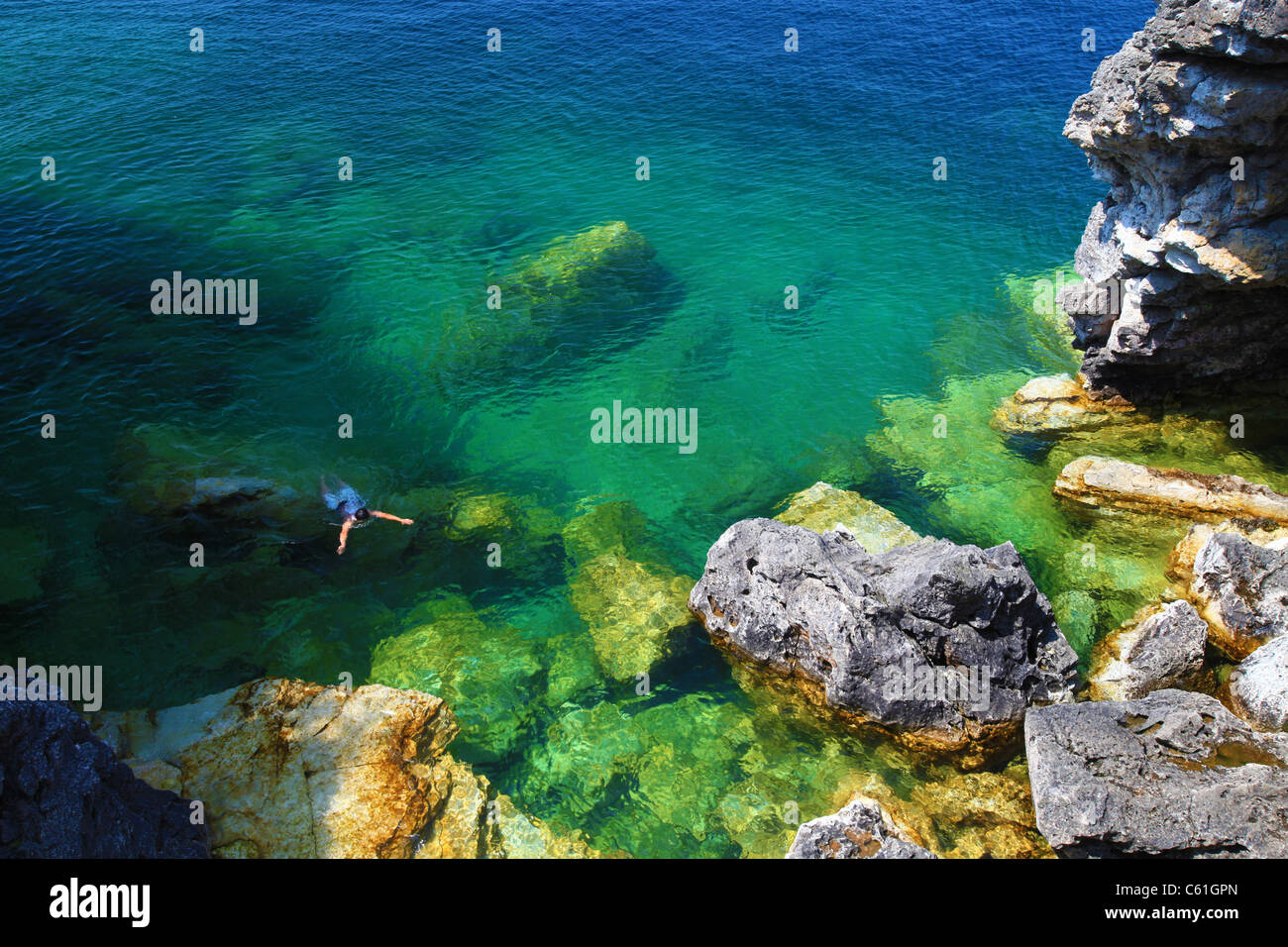 Un homme nager dans l'eau cristalline à Tobermory, près de la rive de la baie Georgienne, Ontario, Canada Banque D'Images
