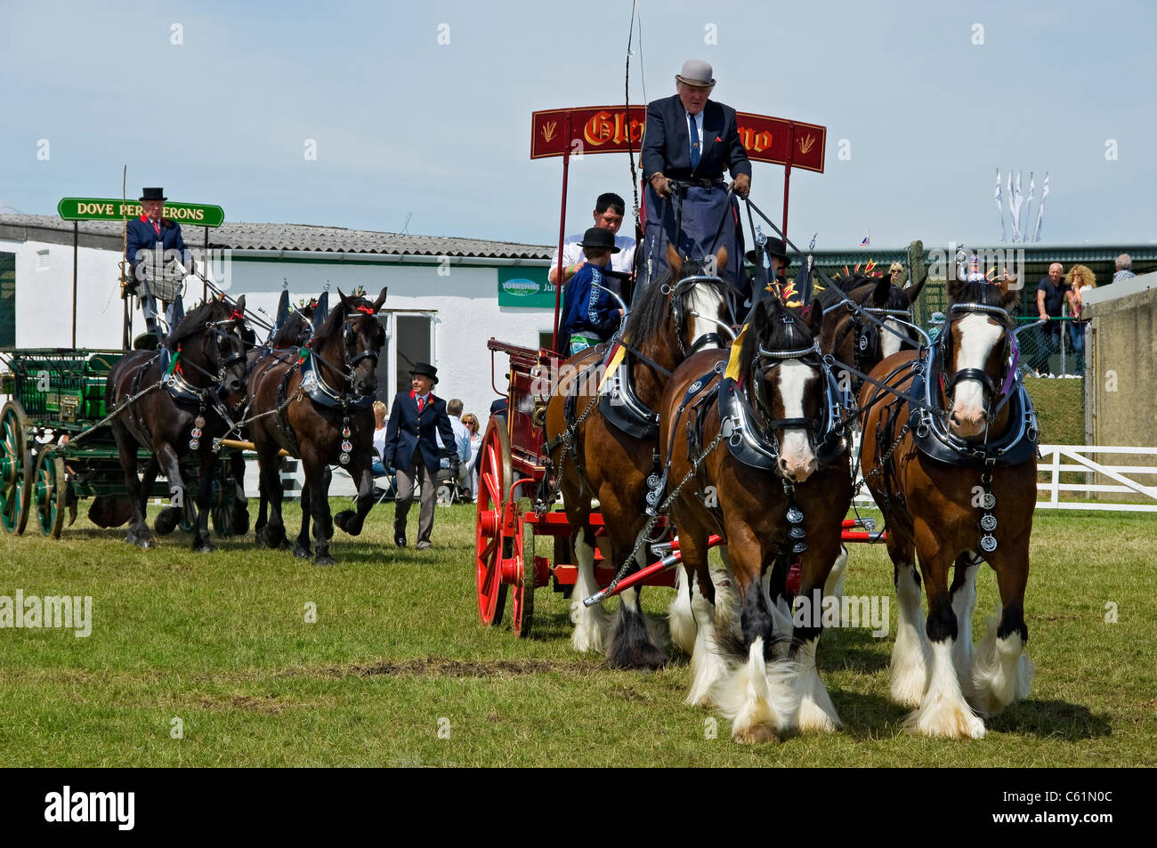 Une équipe de quatre chevaux forts en train de dray au Great Yorkshire Show en été Harrogate North Yorkshire Angleterre Royaume-Uni Grande-Bretagne Banque D'Images