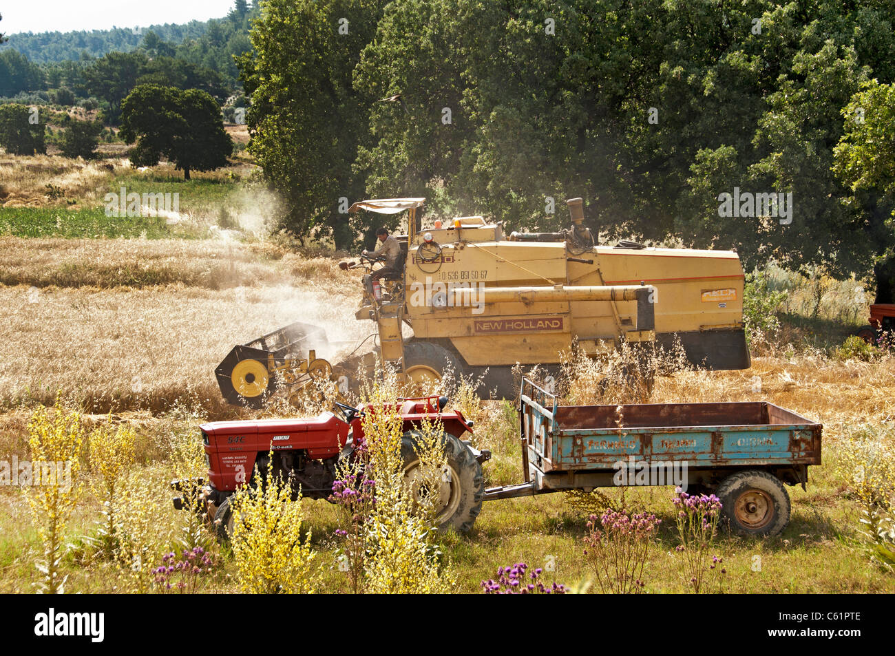 Sud France agricole agriculteur récolte turque entre Kas et la récolte du blé d'Antalya moissonneuse-batteuse Machine Banque D'Images