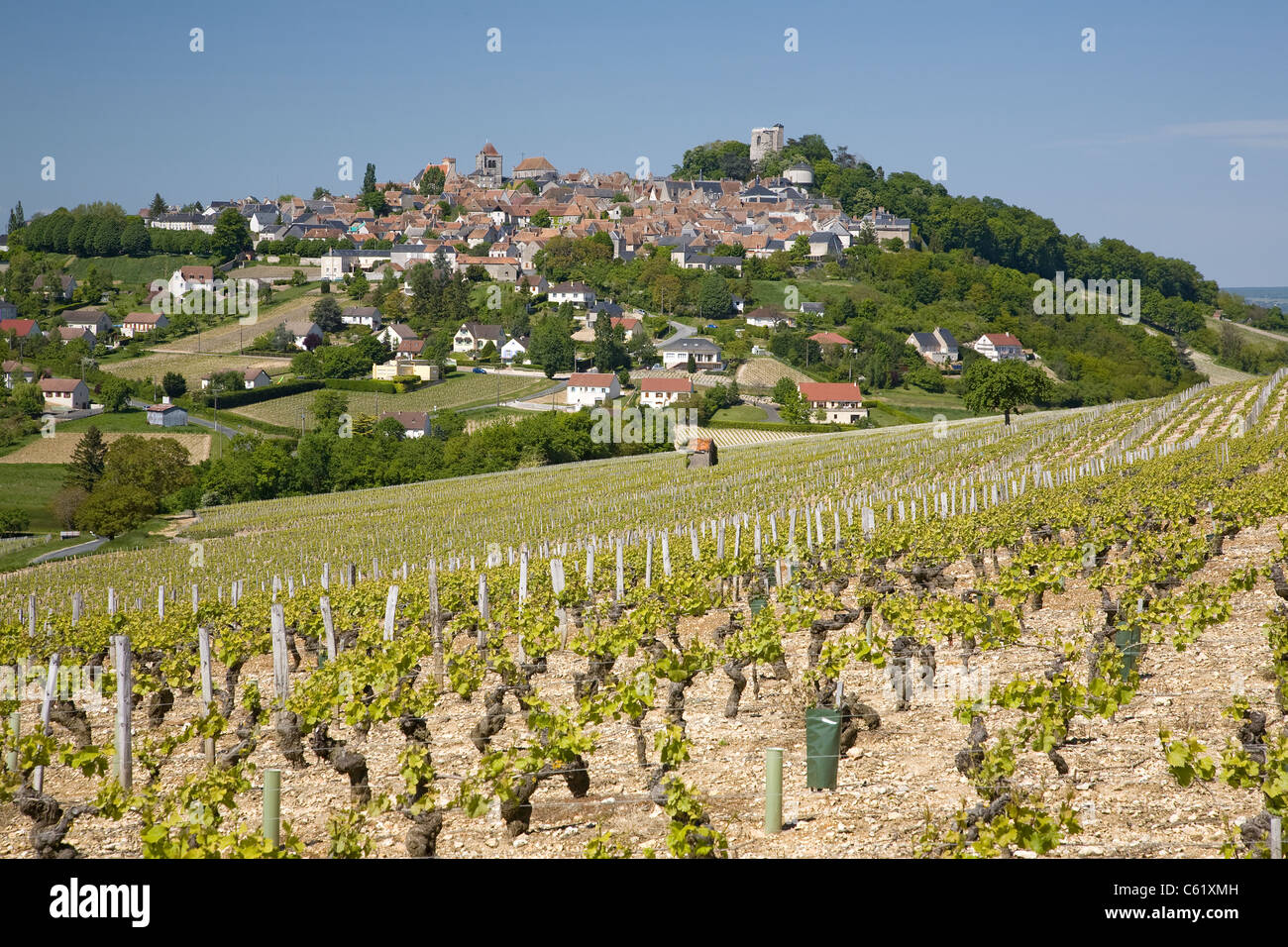 Centre SANCERRE VALLÉE DE LA LOIRE FRANCE Banque D'Images