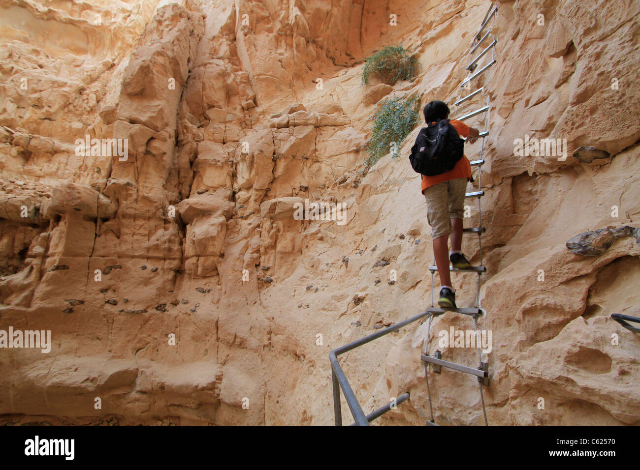 Israël, Vardit Canyon dans le Negev Banque D'Images