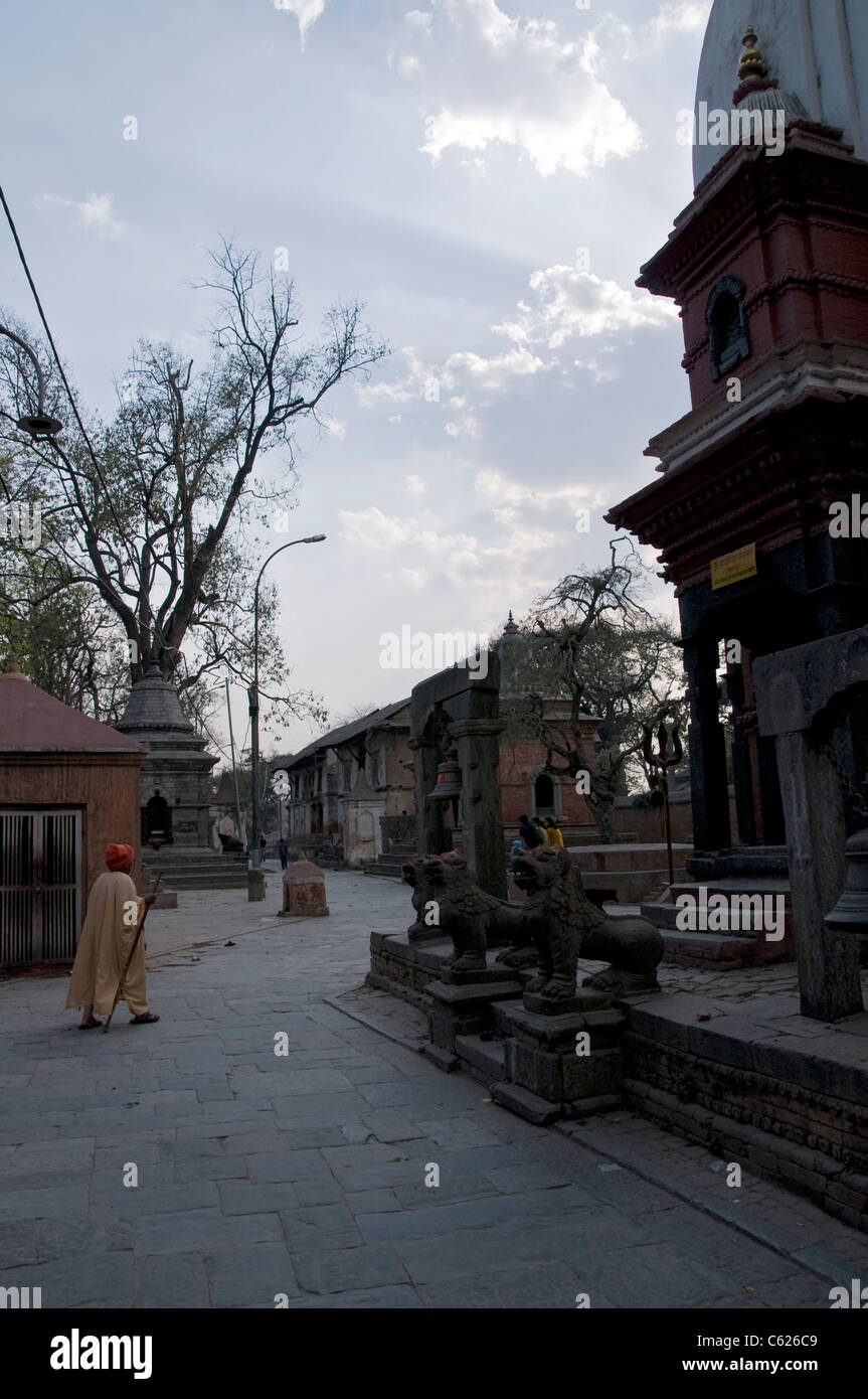 Le temple hindou de Pashupatinath à Katmandou Banque D'Images