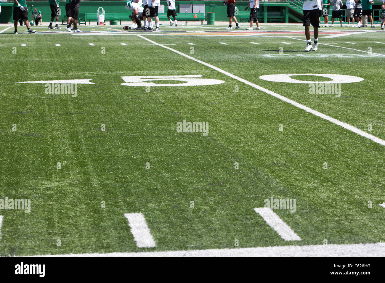 50 cour ligne marqueur sur le terrain des Roughriders de la Saskatchewan au mosaic stadium taylor field regina canada Banque D'Images