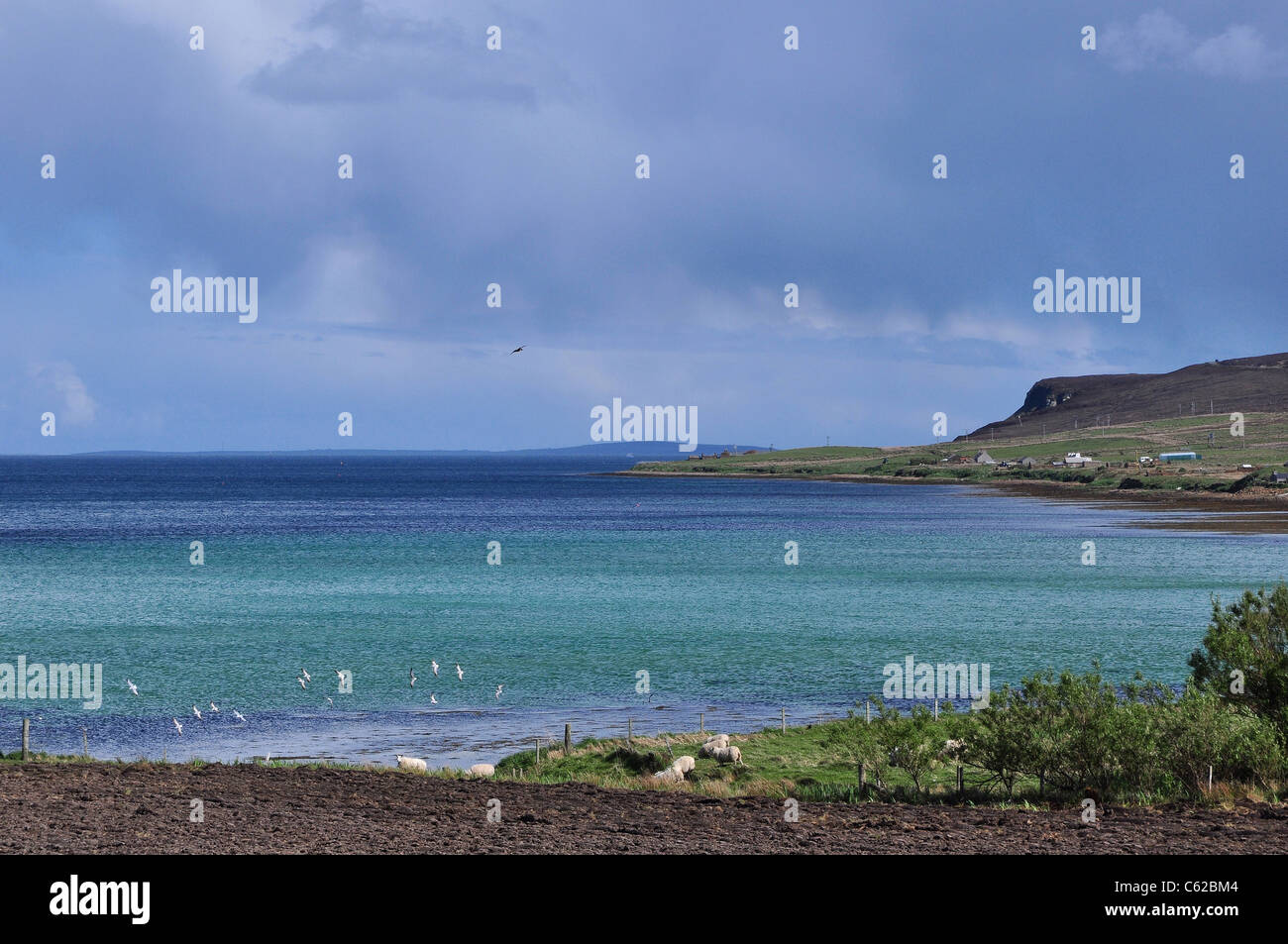 Baie de Quoys, à l'île de Hoy, Orcades, en Écosse. Banque D'Images