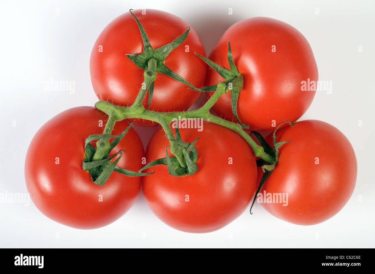 Waitrose East Anglian vine tomatoes Banque D'Images