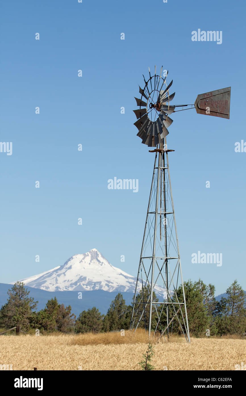 Moulin sur l'herbe de blé Champ avec Mount Jefferson dans le centre de l'Oregon Banque D'Images