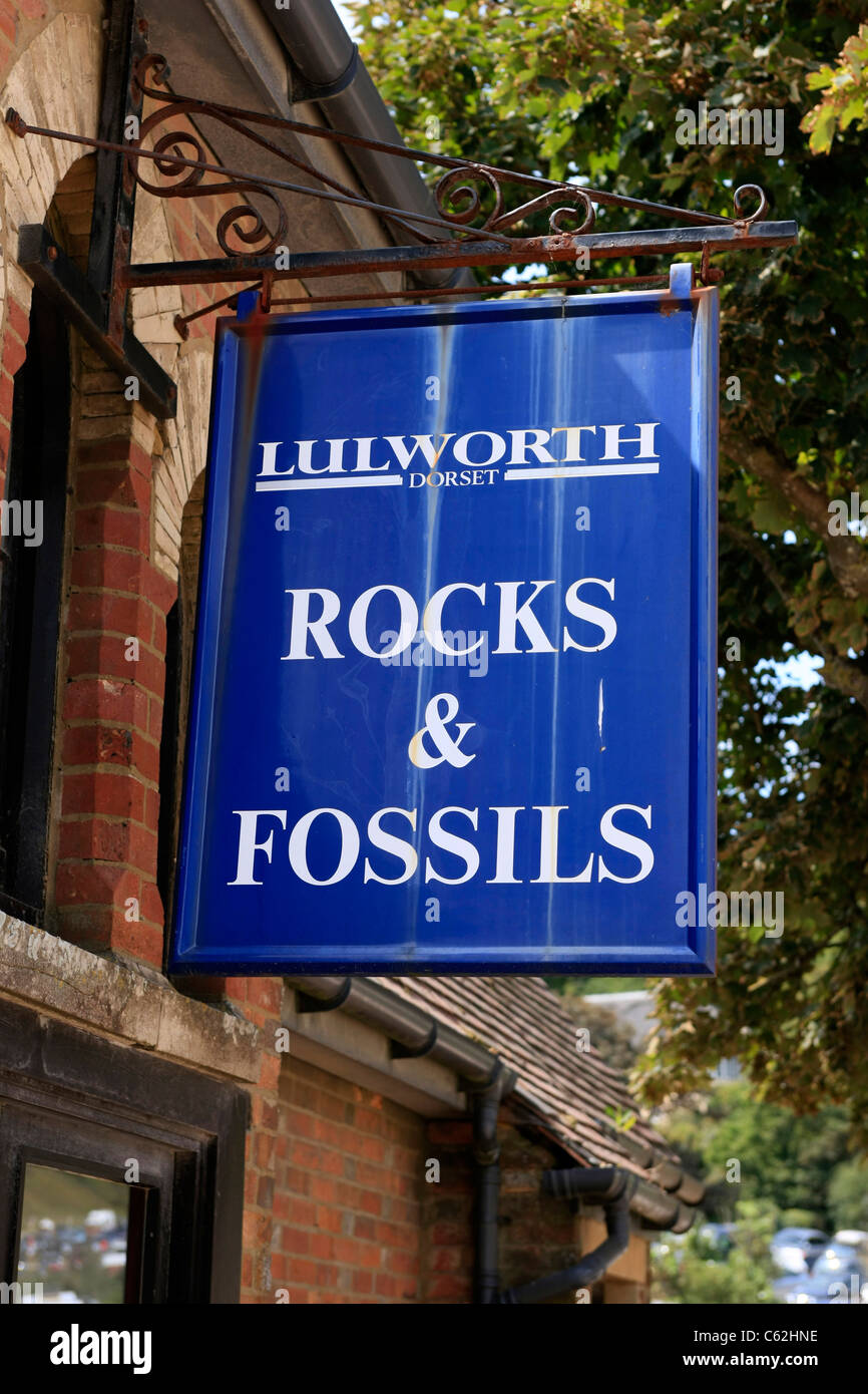Rock et des fossiles de Lulworth Dorset boutique en signe de frais généraux Banque D'Images