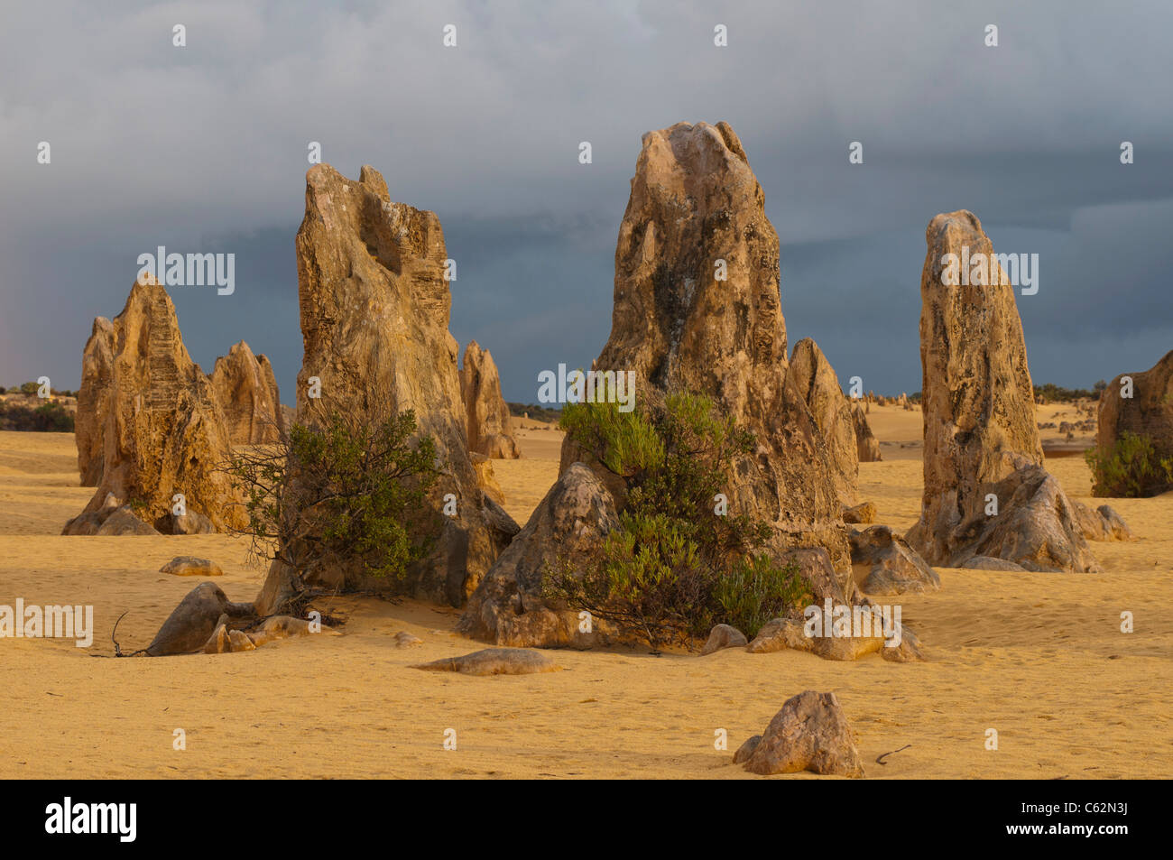 Rock formations in the Pinnacles Desert National Park dans l'ouest de l'Australie Banque D'Images