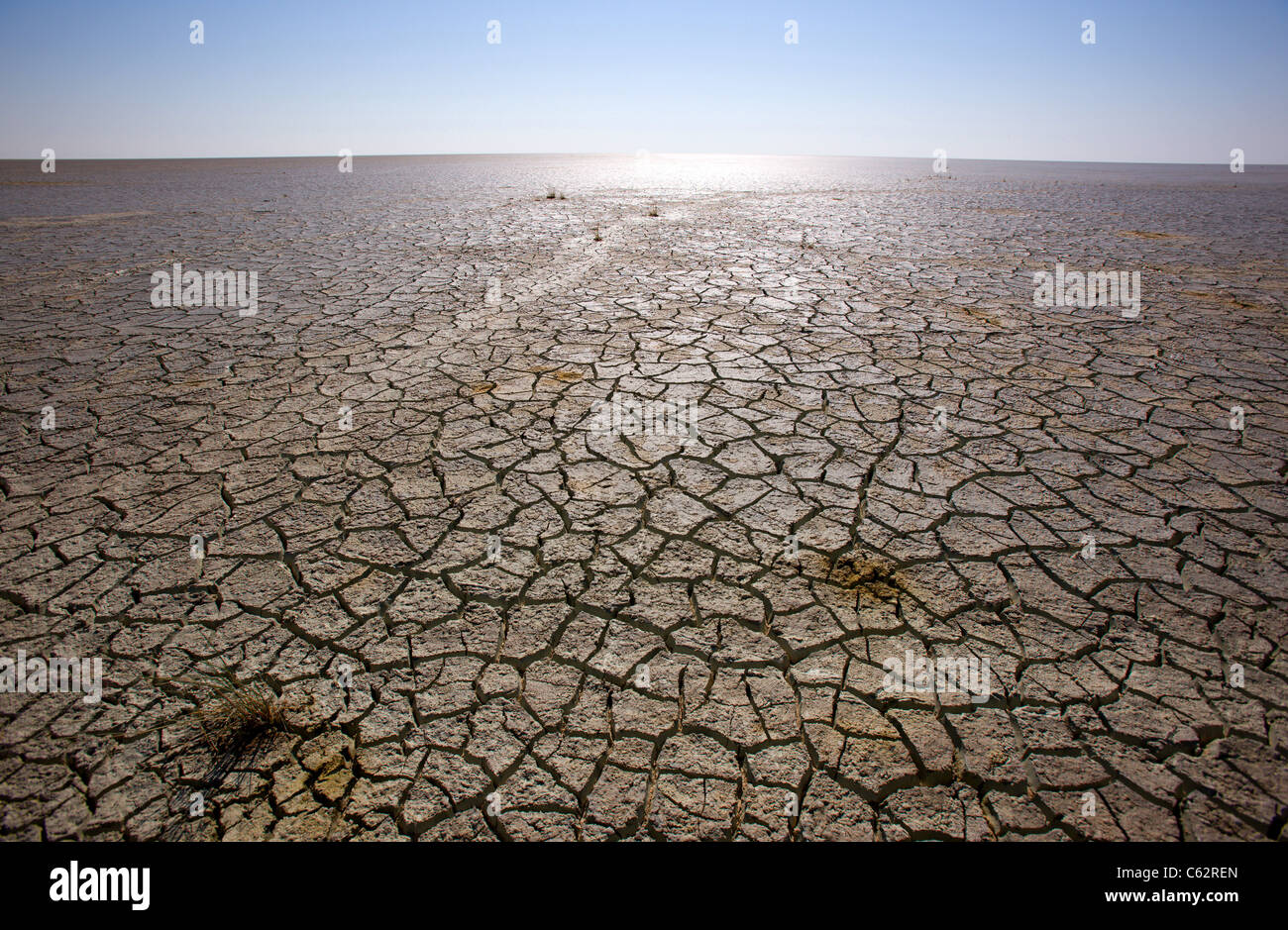 Le soleil bat vers le bas sur le carter fissuré. Parc National d'Etosha, Namibie. Banque D'Images