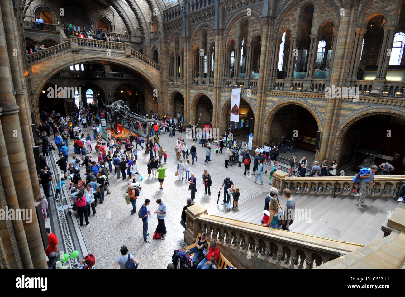 Natural History Museum, Londres, Angleterre, Royaume-Uni Banque D'Images
