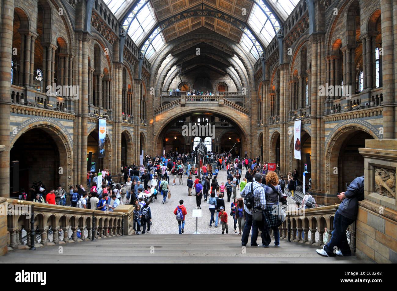 Natural History Museum, Londres, Angleterre, Royaume-Uni Banque D'Images