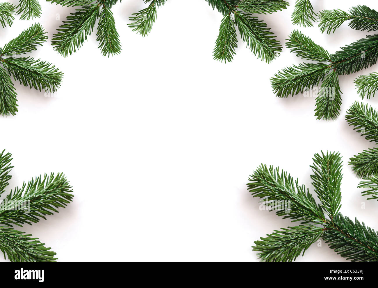 Brindilles Banque D'Images