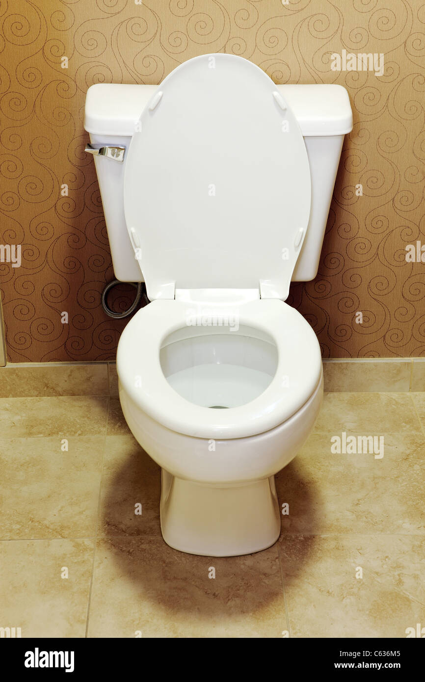 Toilettes de faible débit Banque D'Images