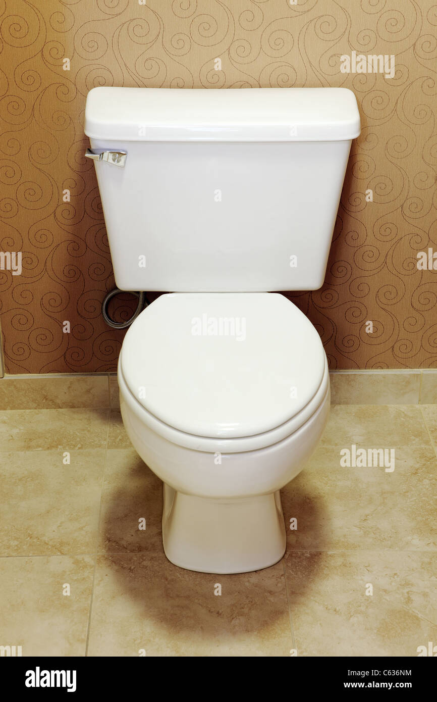 Toilettes de faible débit Banque D'Images