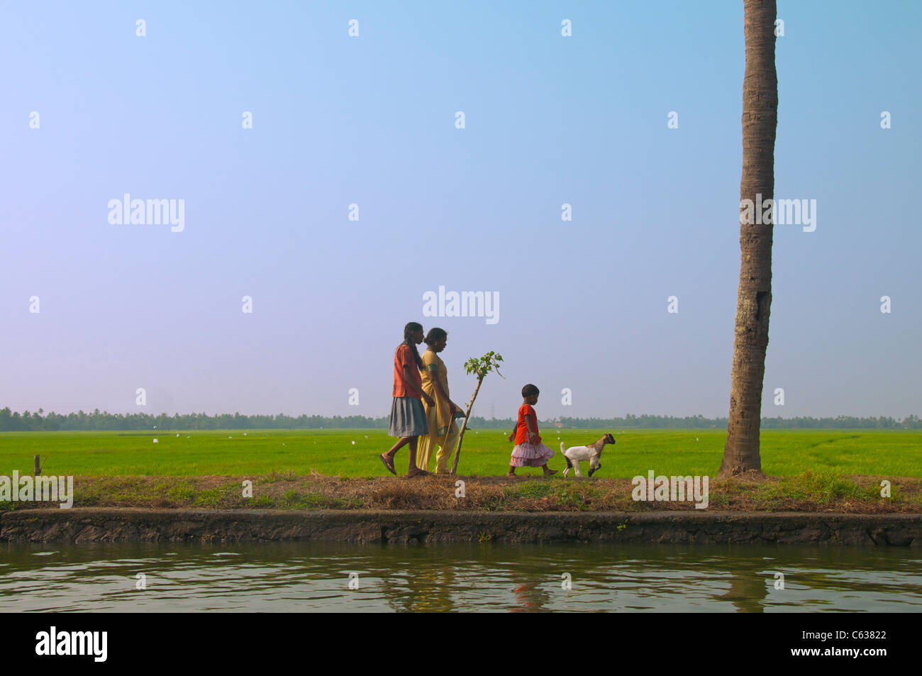 Deux femmes avec enfant et chèvre marchant le long canal Backwaters Kerala Inde du Sud Banque D'Images Deux femmes avec enfant et chèvre marchant le long canal Backwaters Kerala Inde du Sud Banque D'Images