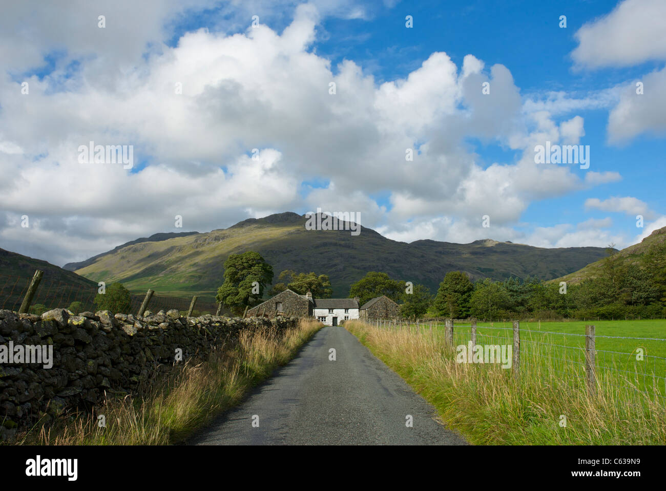 Dale Head, Duddon Valley, Parc National de Lake District, Cumbria, Angleterre, Royaume-Uni Banque D'Images