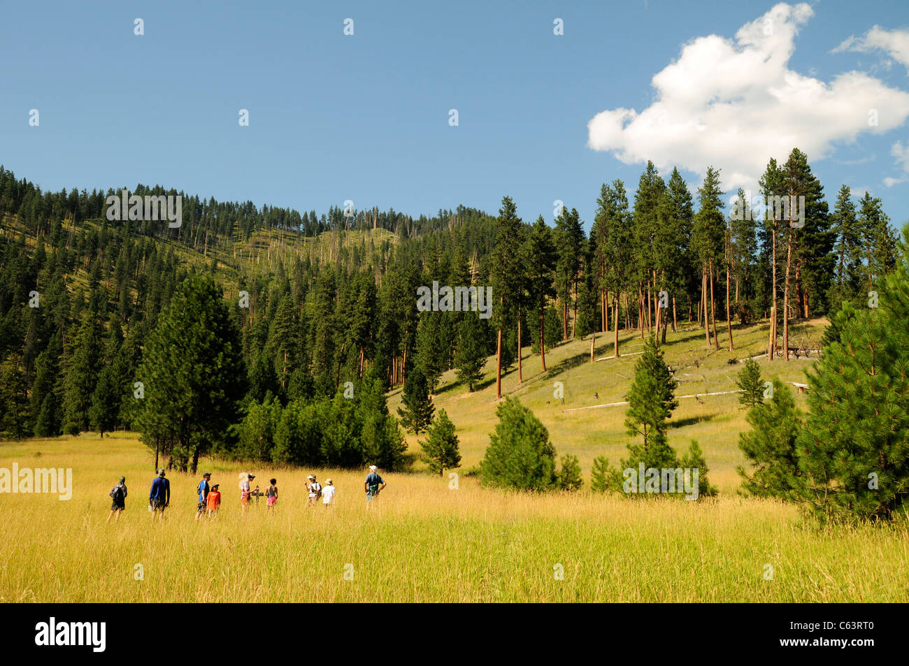 Groupe des chevrons de la rivière randonnées en prairie pittoresque appelé Pied de Corbeau Ranch dans les montagnes de l'Idaho de la rivière Salmon Banque D'Images
