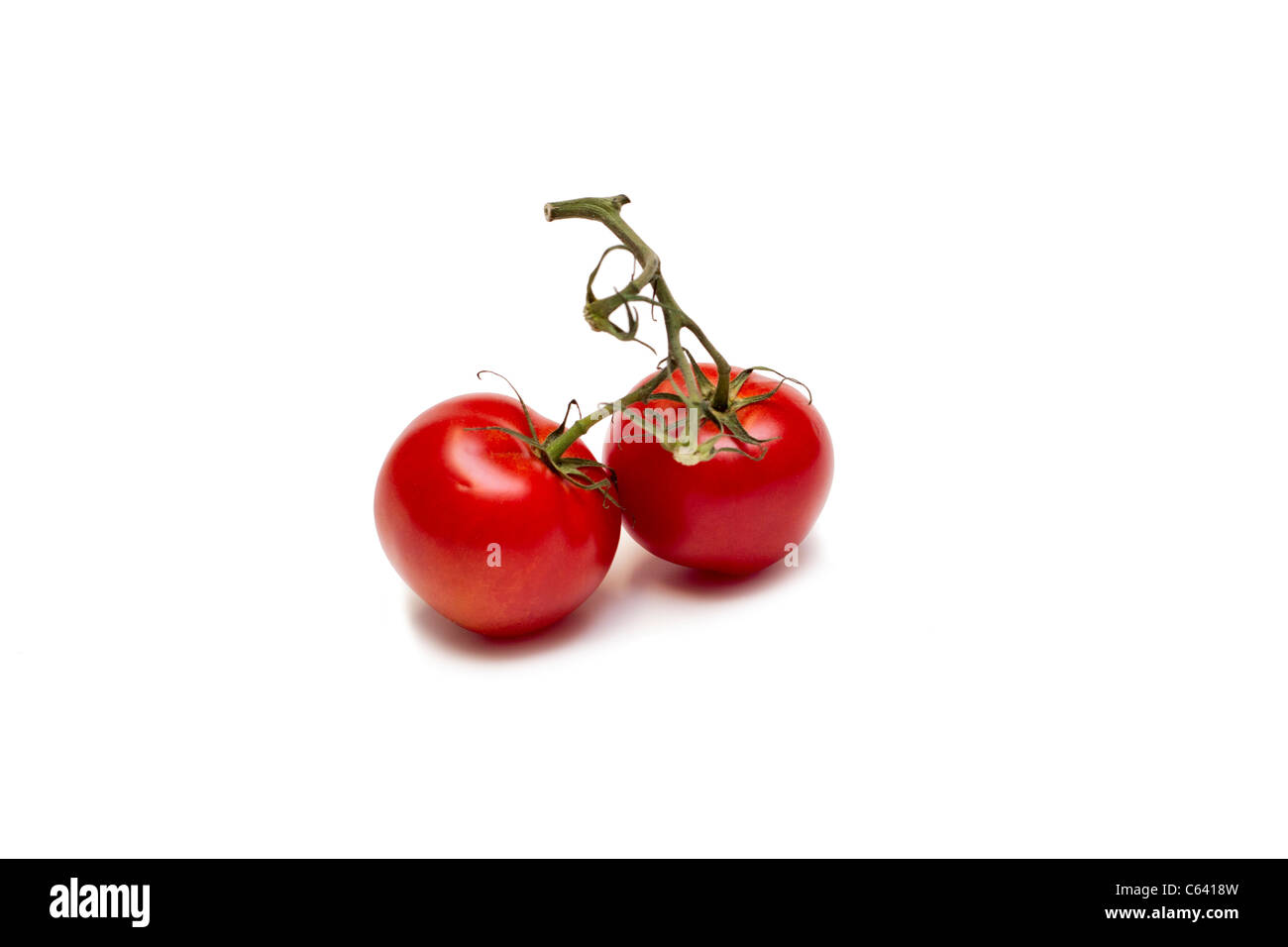 Les tomates mûries sur vigne Banque D'Images