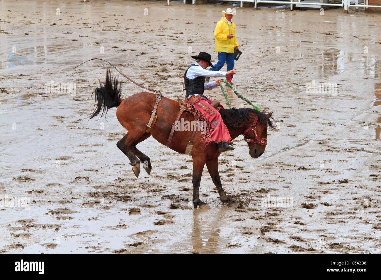 Saddle bronc riding événement au Stampede de Calgary, Canada. Banque D'Images