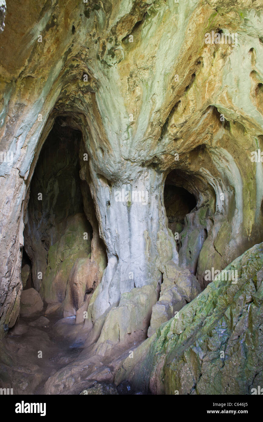 Thor's Cave dans la vallée de Milldale, parc national de Peak District, England, UK Banque D'Images