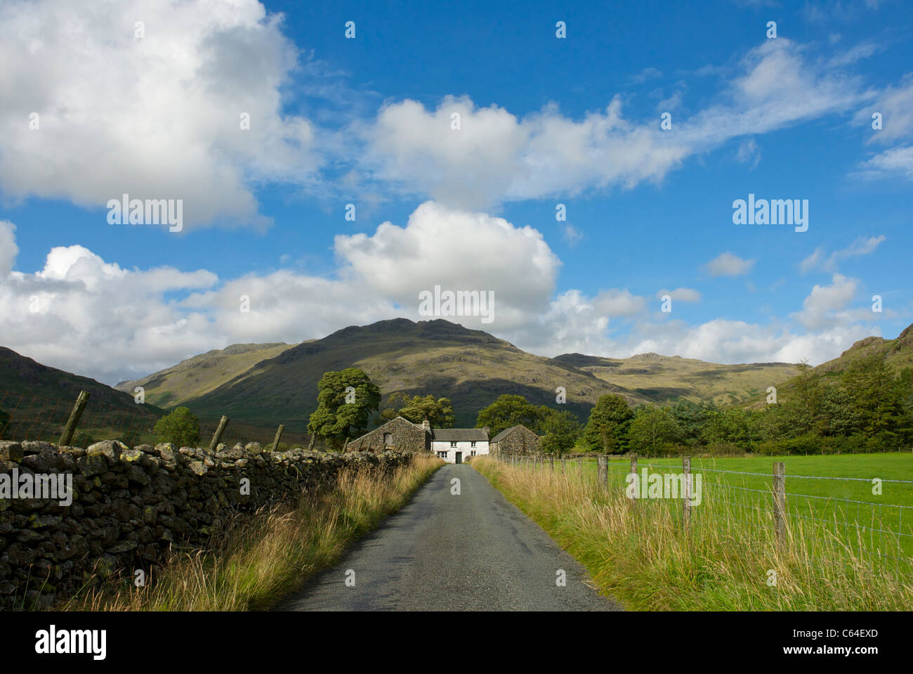 Dale Head, Duddon Valley, Parc National de Lake District, Cumbria, Angleterre, Royaume-Uni Banque D'Images