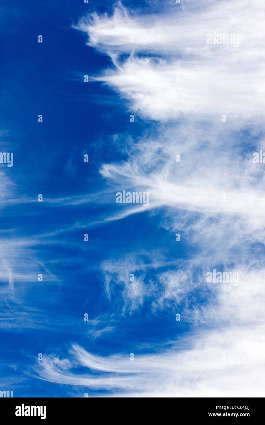 Nuages contre un ciel bleu au Colorado. Banque D'Images