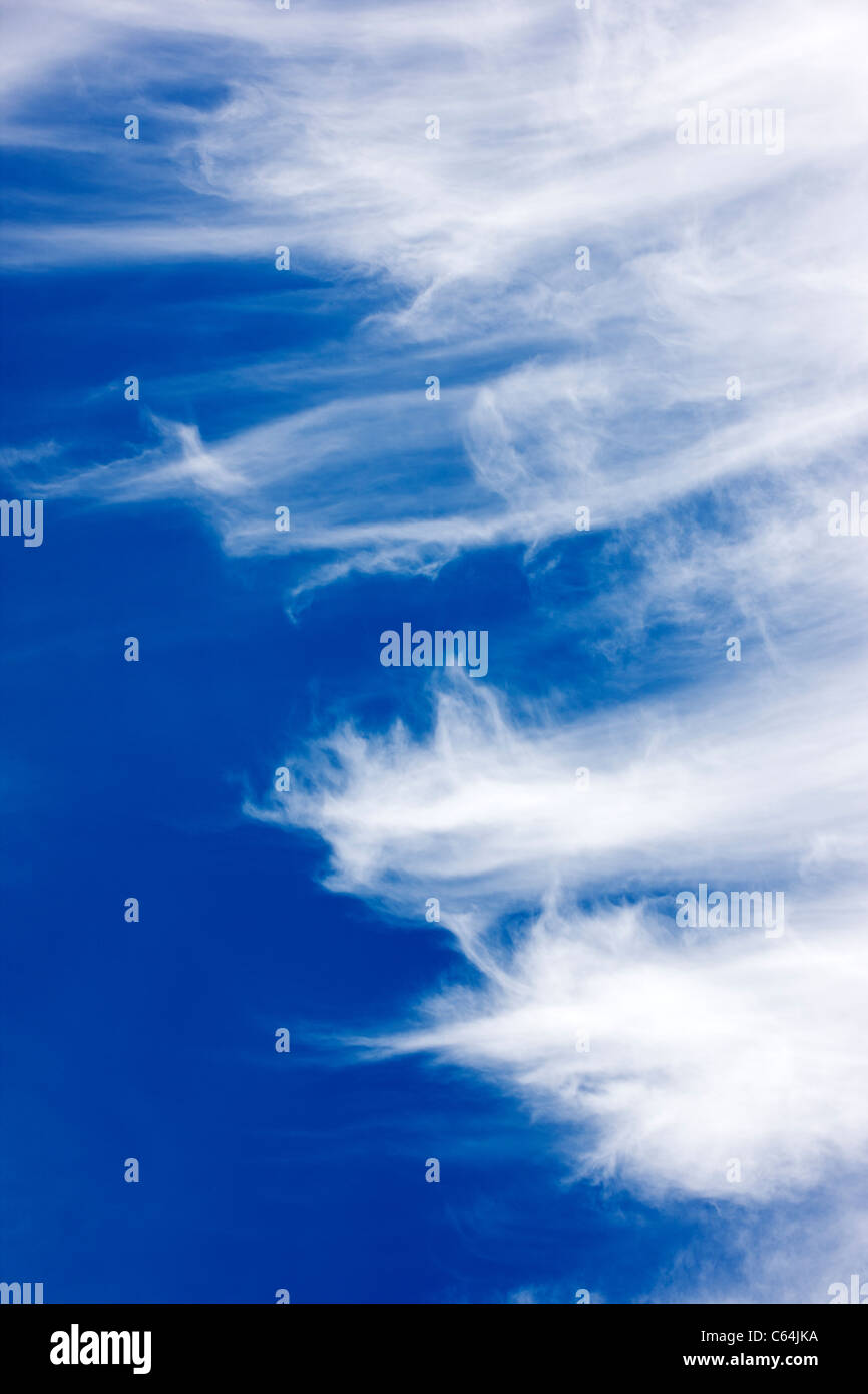 Nuages contre un ciel bleu au Colorado. Banque D'Images