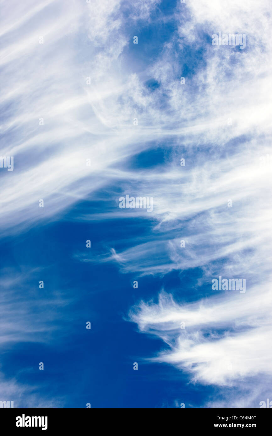 Nuages contre un ciel bleu au Colorado. Banque D'Images