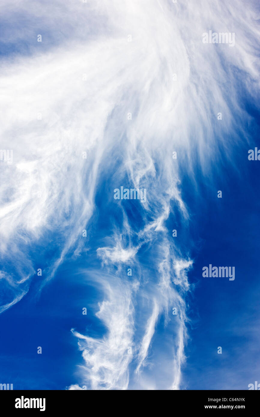 Nuages contre un ciel bleu au Colorado. Banque D'Images