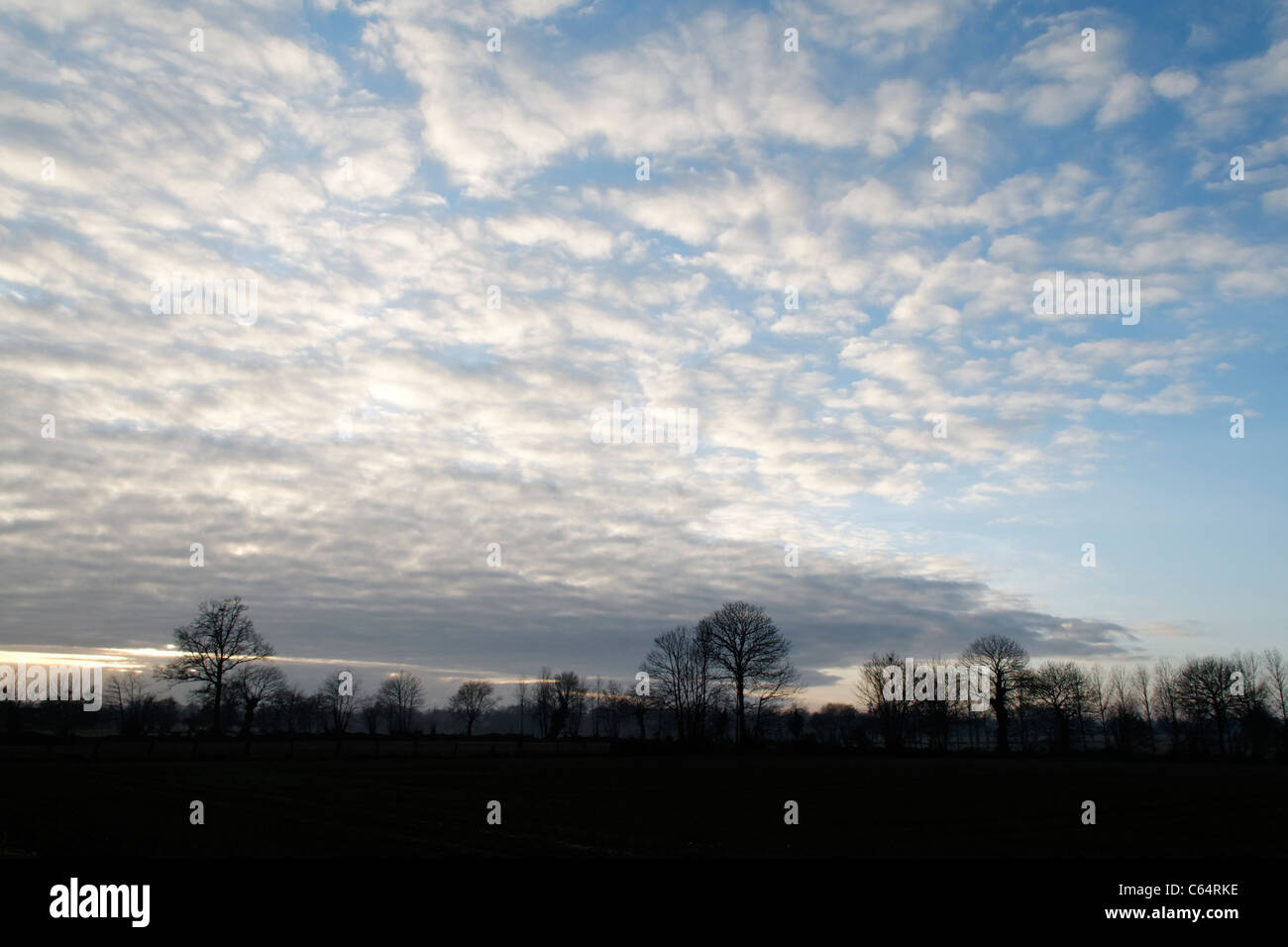 Ciel bleu avec des nuages, paysage en hiver (au nord de Mayenne, France). Banque D'Images