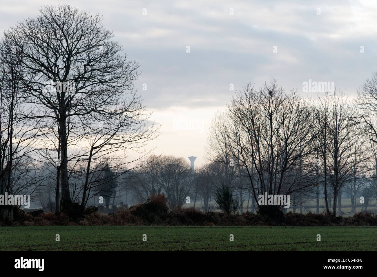 Paysage en hiver (au nord de Mayenne, Pays de la Loire, France, Europe). Banque D'Images