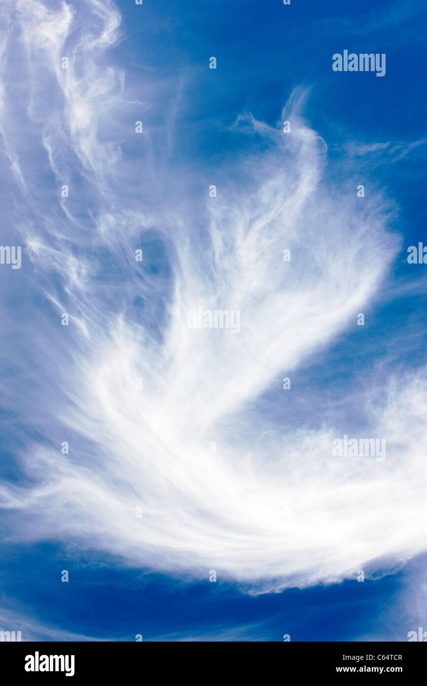 Nuages contre un ciel bleu au Colorado. Banque D'Images