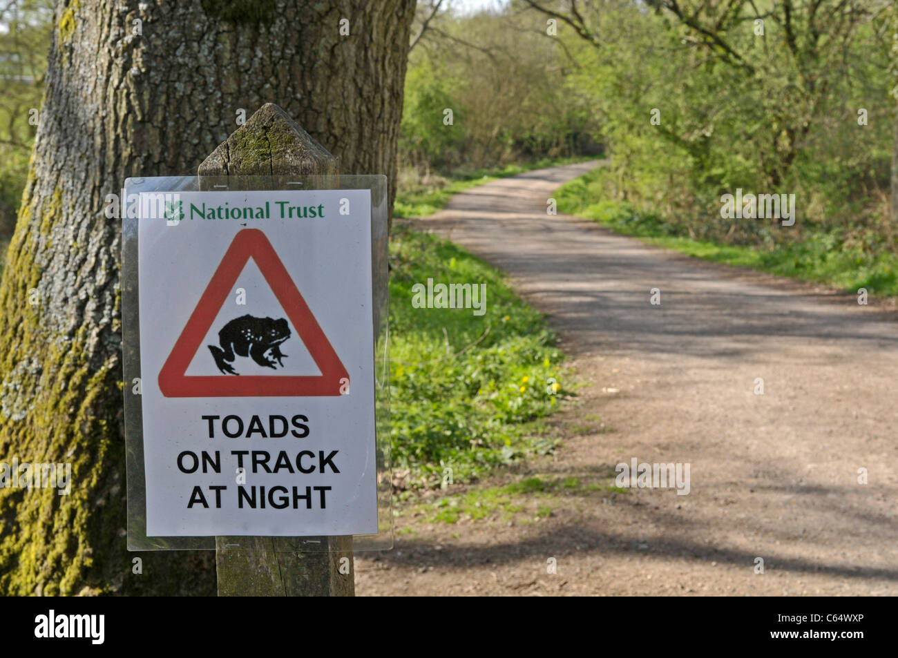 Toad Crossing sign, Surrey, England, UK Banque D'Images