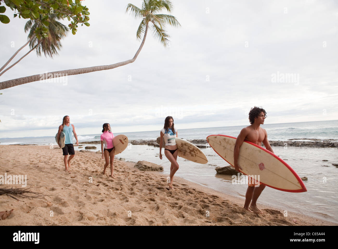 Quatre jeunes amis transportant des planches sur la plage Banque D'Images