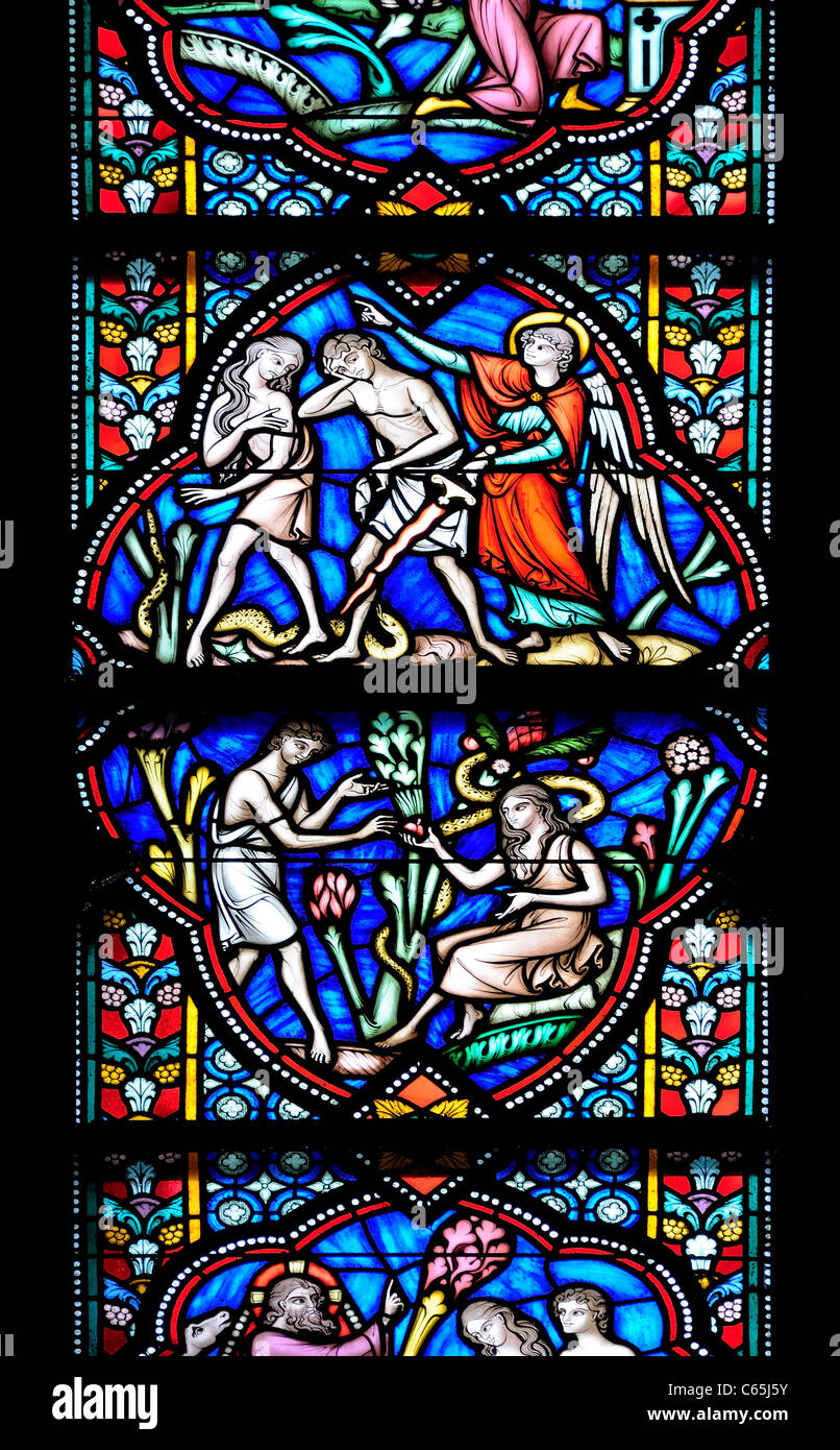 Bruxelles, Belgique. Cathédrale de St Michael. Vitrail montrant Adam et Eve dans le jardin d'Eden Banque D'Images