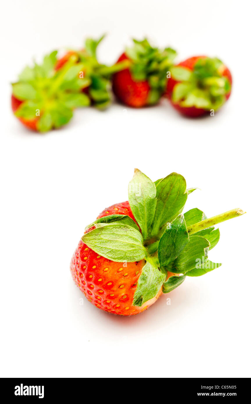 Isolé unique avec d'autres fraises fraises dans l'arrière-plan. Banque D'Images