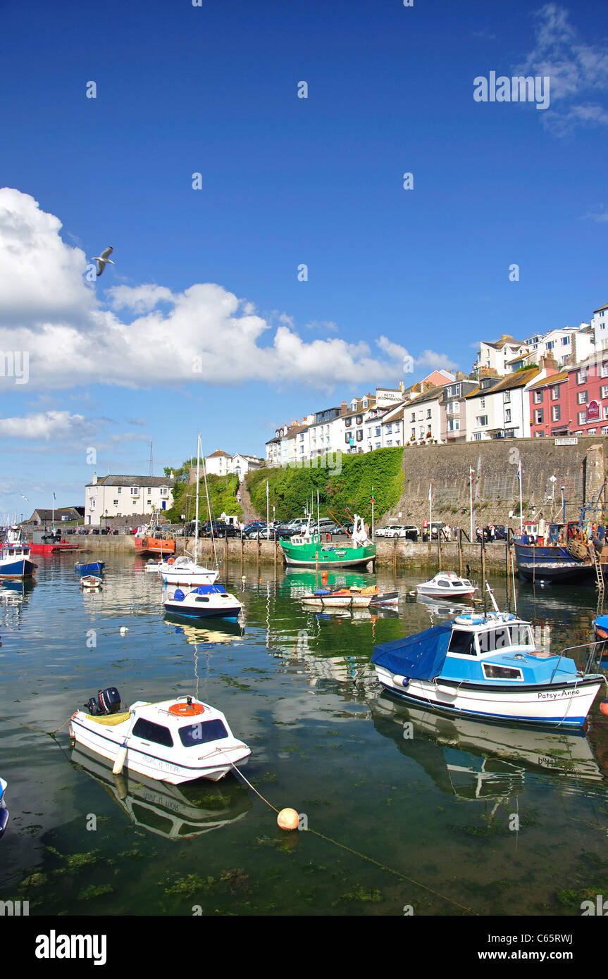 Bateaux amarrés dans le port de Brixham, Brixham, Devon, Angleterre, Royaume-Uni Banque D'Images