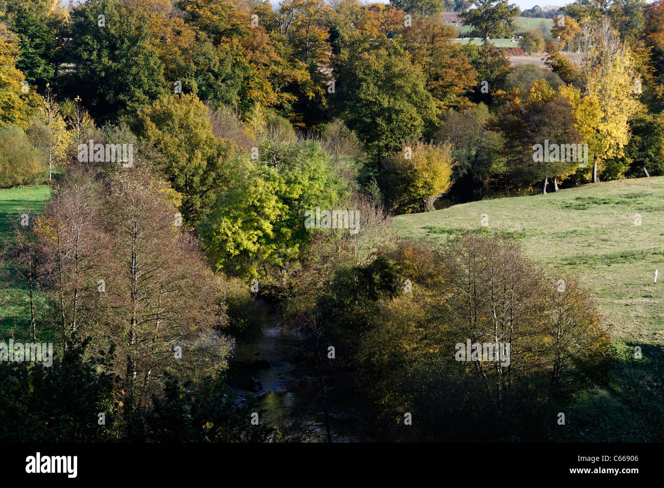 Une rivière bordée d'arbres en automne, de la rivière La Varenne. Sur la limite : Orne (Normandie) - Mayenne (pays de la Loire). La France, l'Europe. Banque D'Images