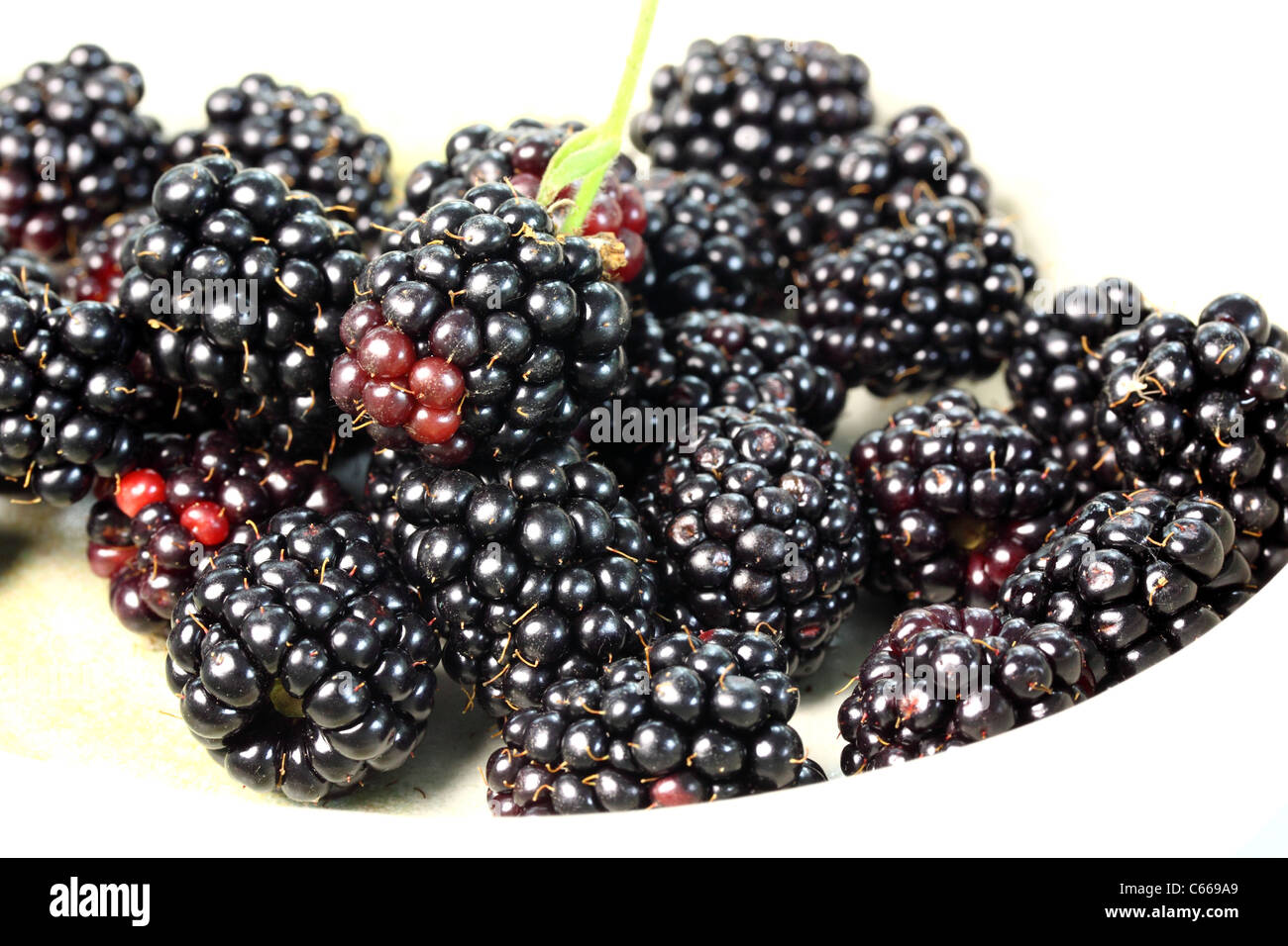 Une collection de violettes, mûres juteuses Banque D'Images