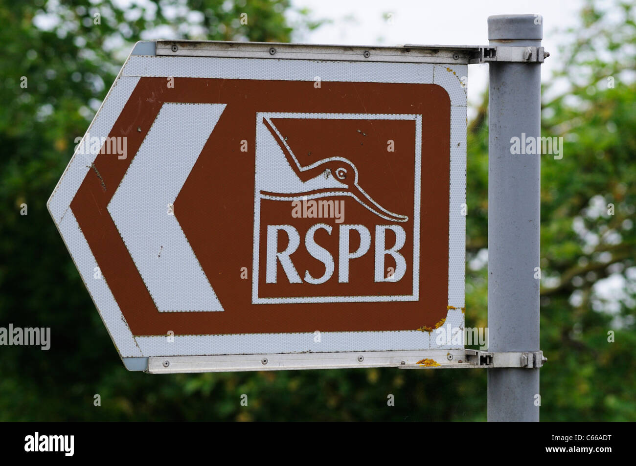 La Réserve Naturelle RSPB Signe, Fowlmere, Cambridgeshire, Angleterre, RU Banque D'Images