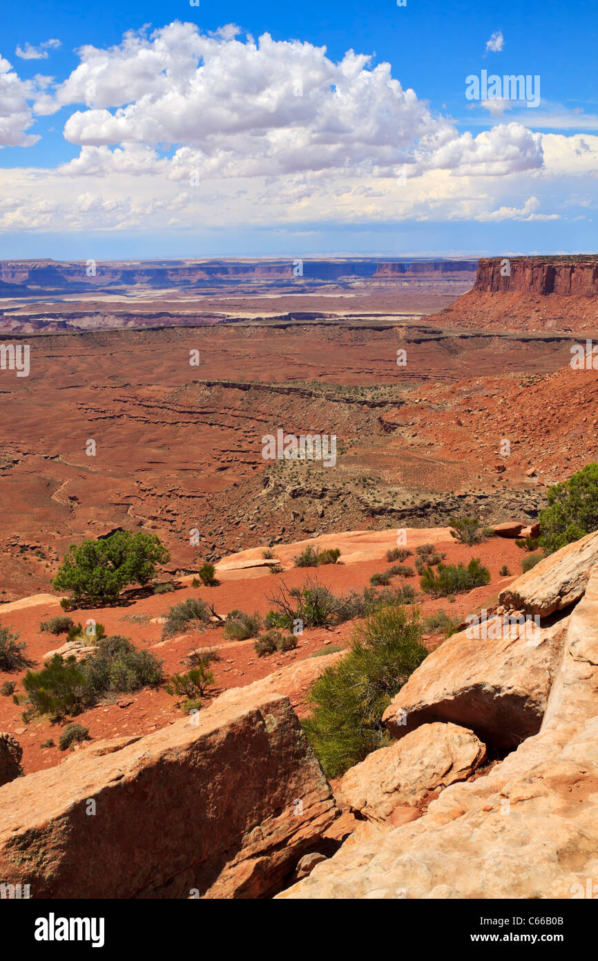 Chandelier Tower donnent sur, Canyonlands National Park, Utah Banque D'Images