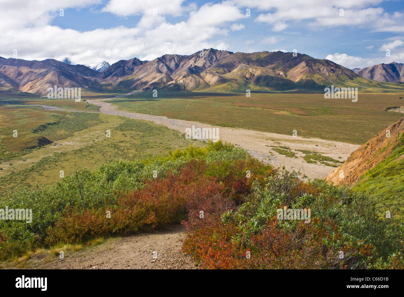 Parc national de Denali en Alaska, un des plus grand désert préserve. Banque D'Images