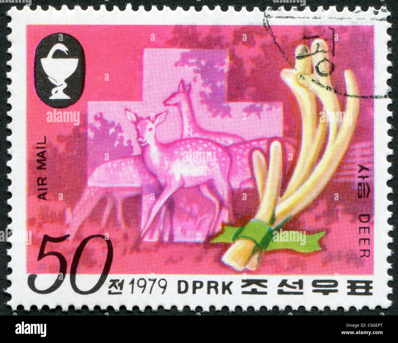La CORÉE DU NORD - 1979 : timbre imprimé en Corée du Nord montre le daim, l'andouiller Banque D'Images