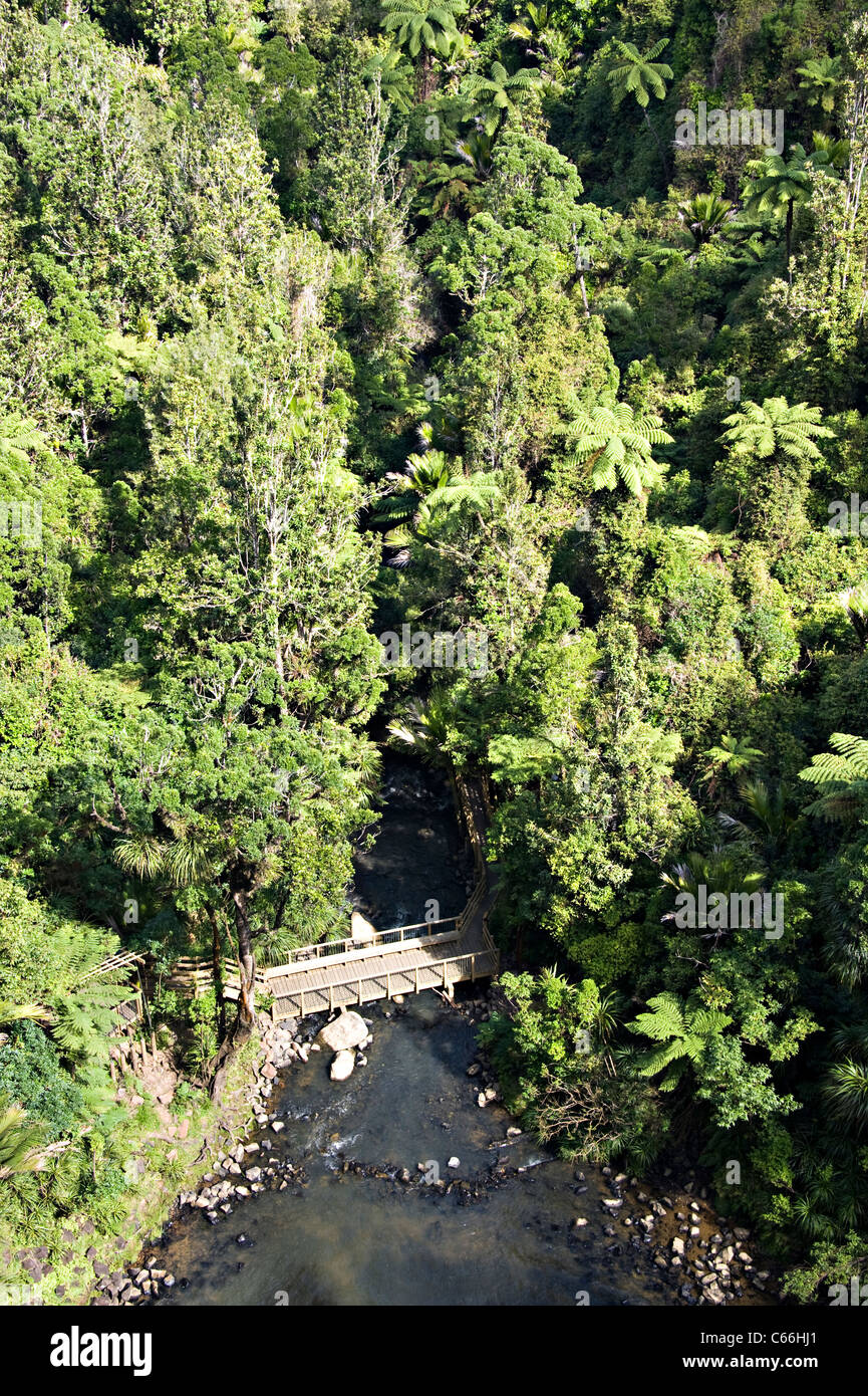Pont sur la rivière Pakoka Sous Bridal Veil Falls dans Waireinga Makomako réserve panoramique de l'Île du Nord Nouvelle-zélande Waikato Banque D'Images