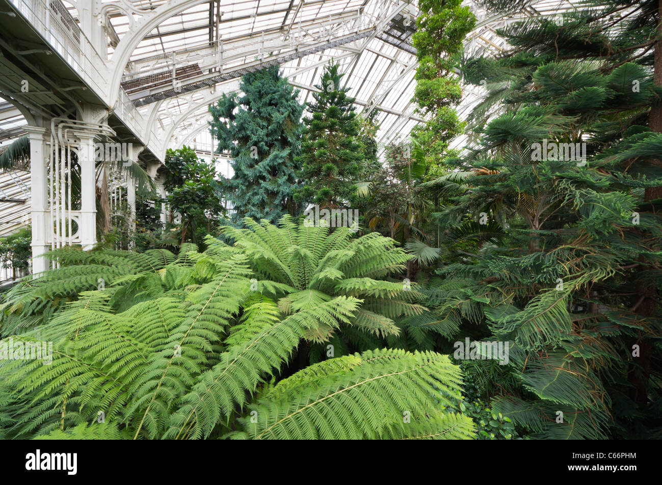 Londres, Kew Gardens, Royal Horticultural Society - la maison tempérée, la plus grande structure en verre et fer victorien en Europe Banque D'Images