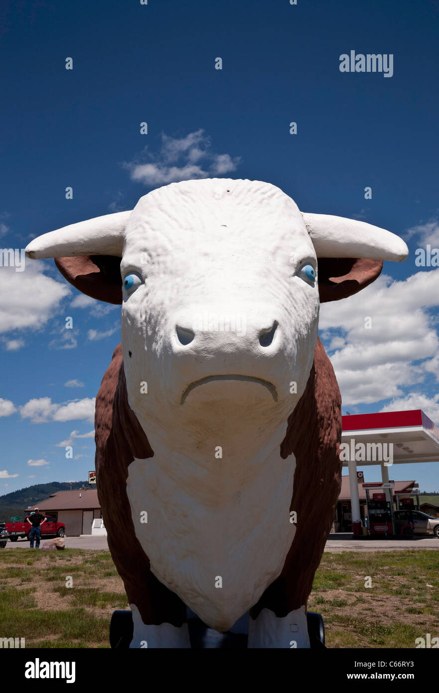 Statue de vache Hereford géant, Conoco, intersection Mt Etat des routes, 83 et 200, MT Banque D'Images